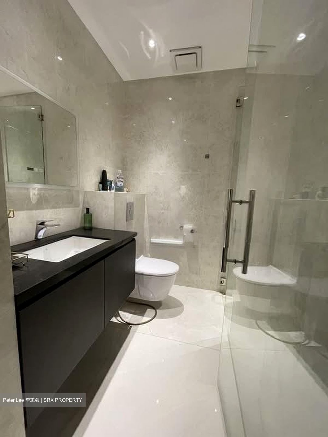 Parc Vista (D22), Condominium #548374831